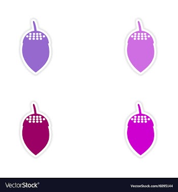 Assembly realistic sticker design on paper acorns vector image