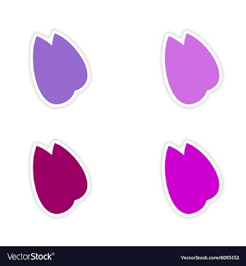 Assembly realistic sticker design on paper almonds vector image