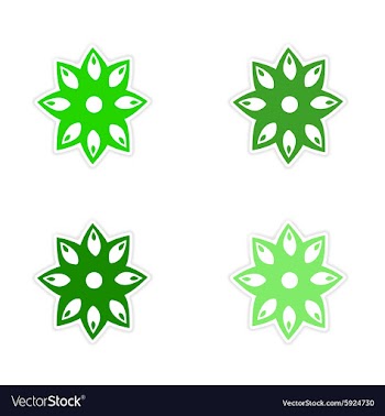 Assembly realistic sticker design on paper anise vector image