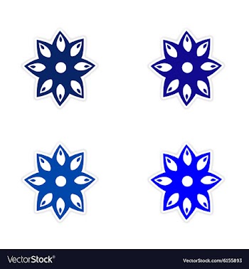 Assembly realistic sticker design on paper anise vector image