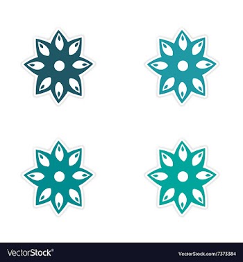 Assembly realistic sticker design on paper anise vector image