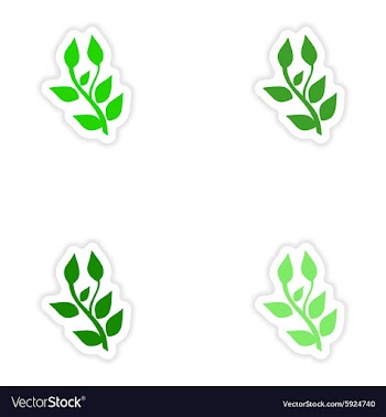 Assembly realistic sticker design on paper basil vector image