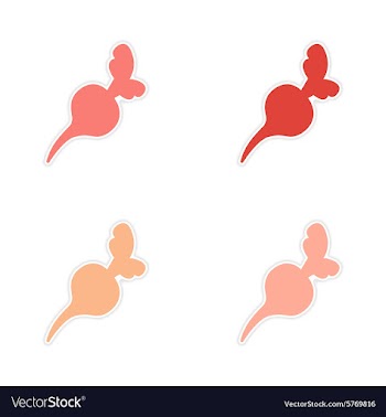 Assembly realistic sticker design on paper beet vector image