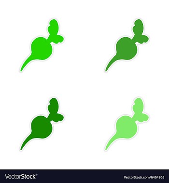 Assembly realistic sticker design on paper beet vector image