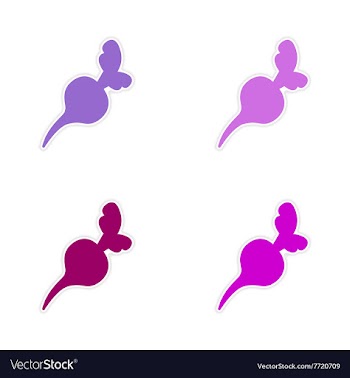 Assembly realistic sticker design on paper beet vector image
