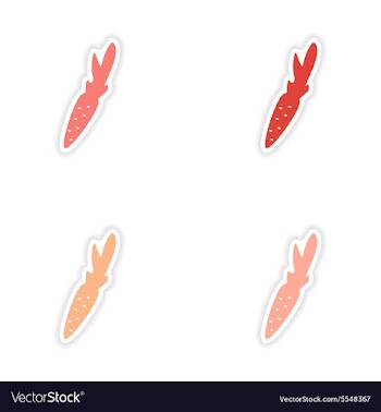Assembly realistic sticker design on paper carrots vector image