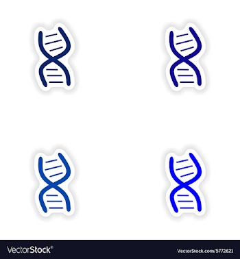 Assembly realistic sticker design on paper DNA vector image