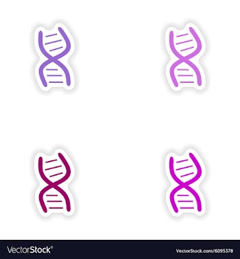 Assembly realistic sticker design on paper DNA vector image