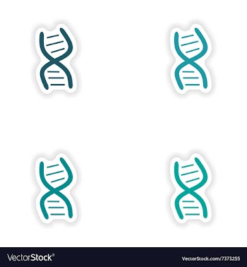 Assembly realistic sticker design on paper DNA vector image