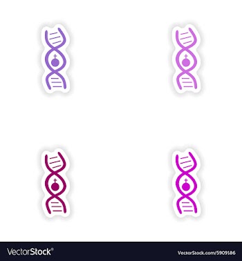 Assembly realistic sticker design on paper female vector image