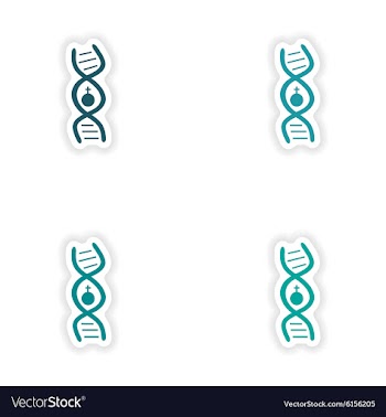 Assembly realistic sticker design on paper female vector image