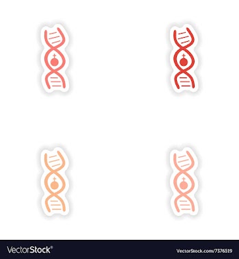 Assembly realistic sticker design on paper female vector image