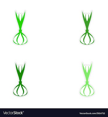Assembly realistic sticker design on paper garlic vector image