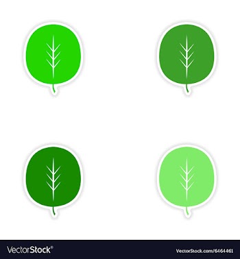 Assembly realistic sticker design on paper leaves vector image
