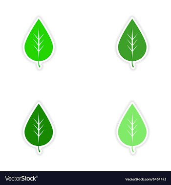 Assembly realistic sticker design on paper leaves vector image
