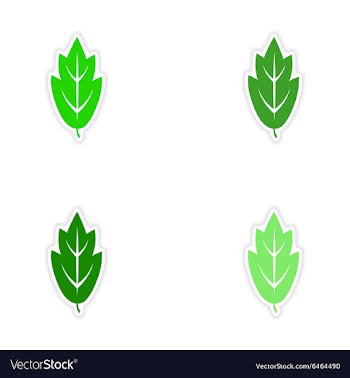 Assembly realistic sticker design on paper leaves vector image