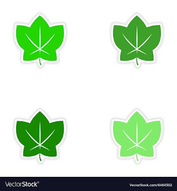 Assembly realistic sticker design on paper leaves vector image