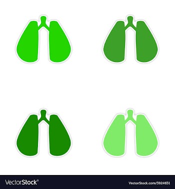 Assembly realistic sticker design on paper lungs vector image