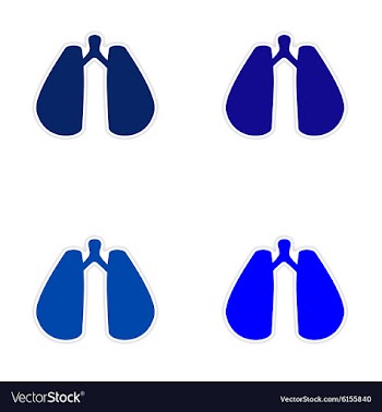 Assembly realistic sticker design on paper lungs vector image