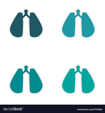Assembly realistic sticker design on paper lungs vector image