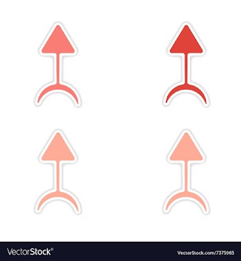 Assembly realistic sticker design on paper magic vector image