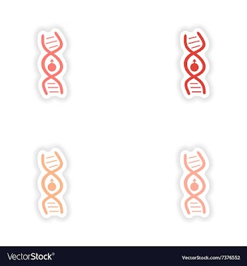 Assembly realistic sticker design on paper male vector image