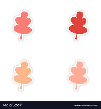 Assembly realistic sticker design on paper oak vector image