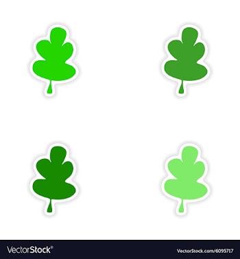 Assembly realistic sticker design on paper oak vector image