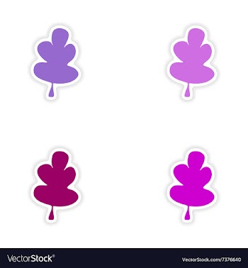 Assembly realistic sticker design on paper oak vector image