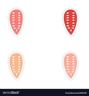 Assembly realistic sticker design on paper Pumpkin vector image