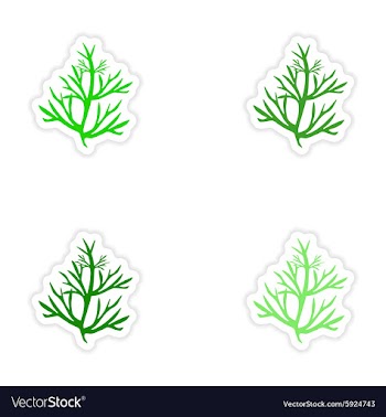 Assembly realistic sticker design on paper seaweed vector image
