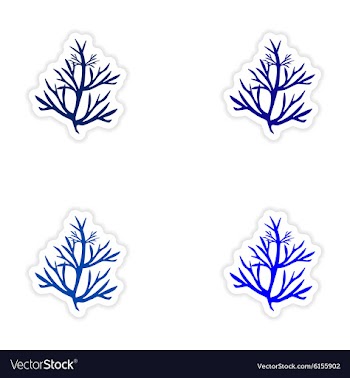 Assembly realistic sticker design on paper seaweed vector image