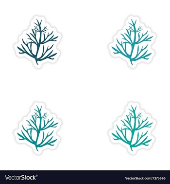 Assembly realistic sticker design on paper seaweed vector image