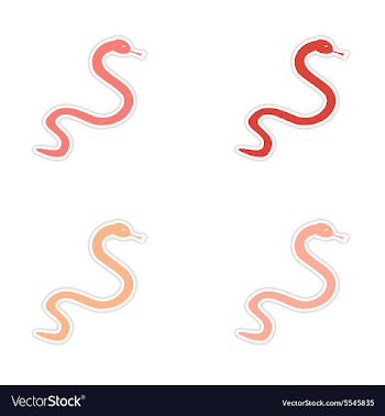 Assembly realistic sticker design on paper snakes vector image