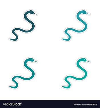 Assembly realistic sticker design on paper snakes vector image