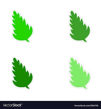 Assembly realistic sticker design on paper spices vector image