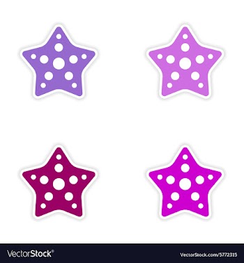 Assembly realistic sticker design on paper star vector image