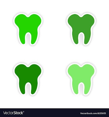 Assembly realistic sticker design on paper teeth vector image