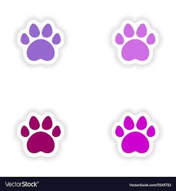 Assembly realistic sticker design on paper traces vector image