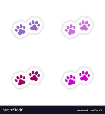 Assembly realistic sticker design on paper traces vector image