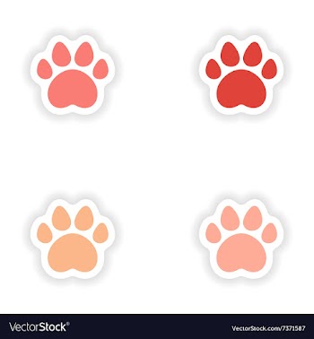Assembly realistic sticker design on paper traces vector image
