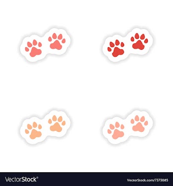Assembly realistic sticker design on paper traces vector image