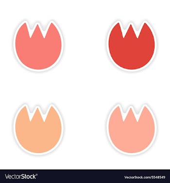 Assembly realistic sticker design on paper tulip vector image