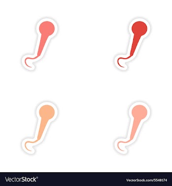 Assembly realistic sticker design on paper vector image