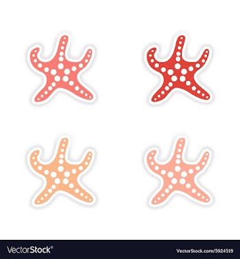 Assembly realistic sticker design on paper vector image