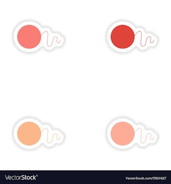Assembly realistic sticker design on paper vector image