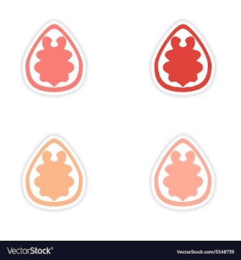 Assembly realistic sticker design on paper walnut vector image