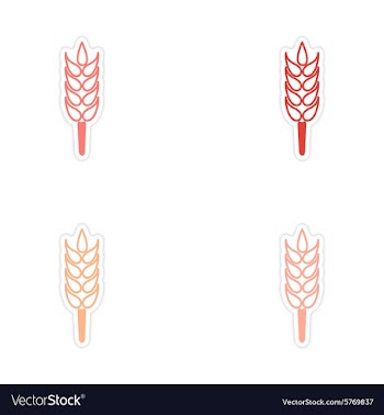 Assembly realistic sticker design on paper wheat vector image