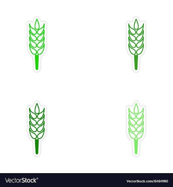 Assembly realistic sticker design on paper wheat vector image