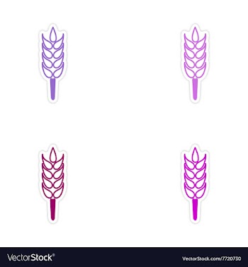 Assembly realistic sticker design on paper wheat vector image